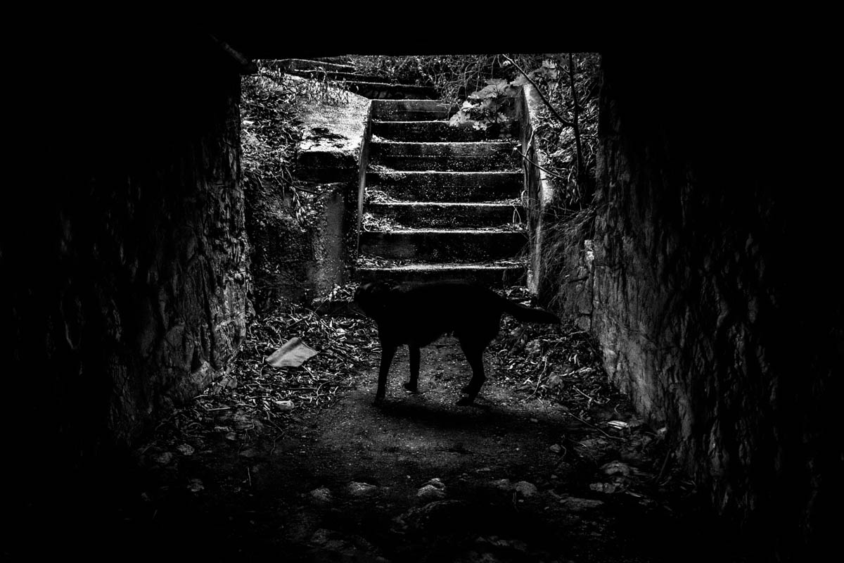 e-photogames 06_2