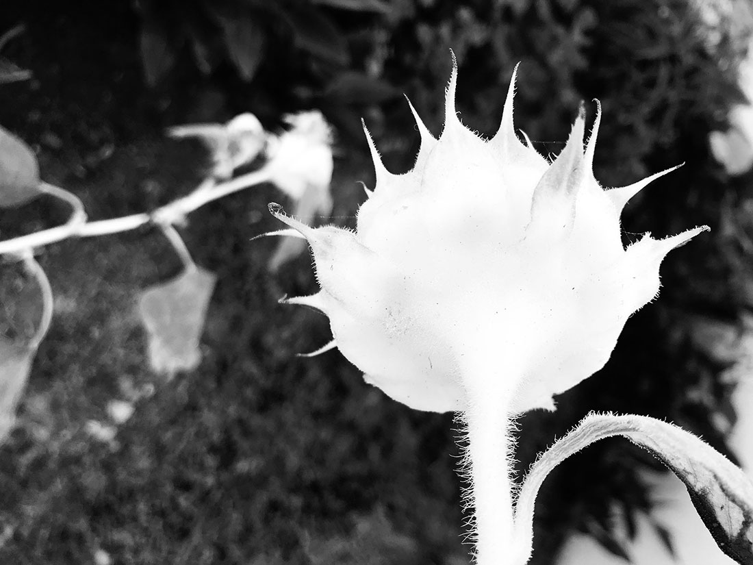 Virtual Connection #11