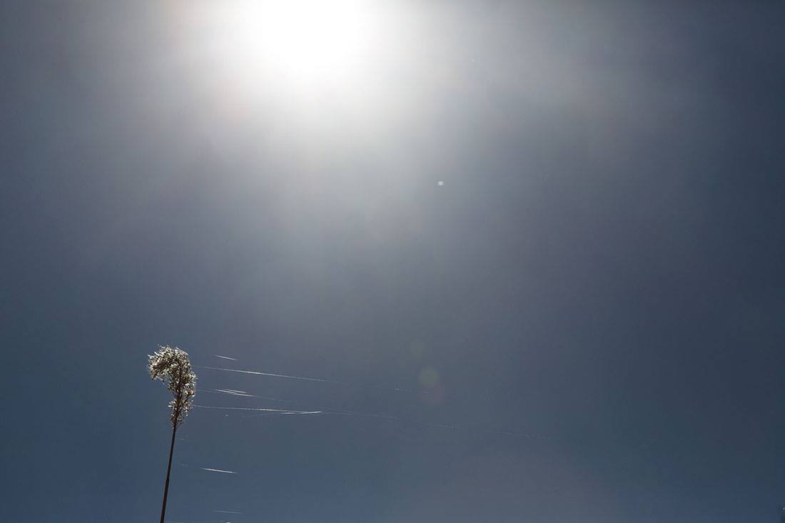 Η επάνοδος της κίνησης