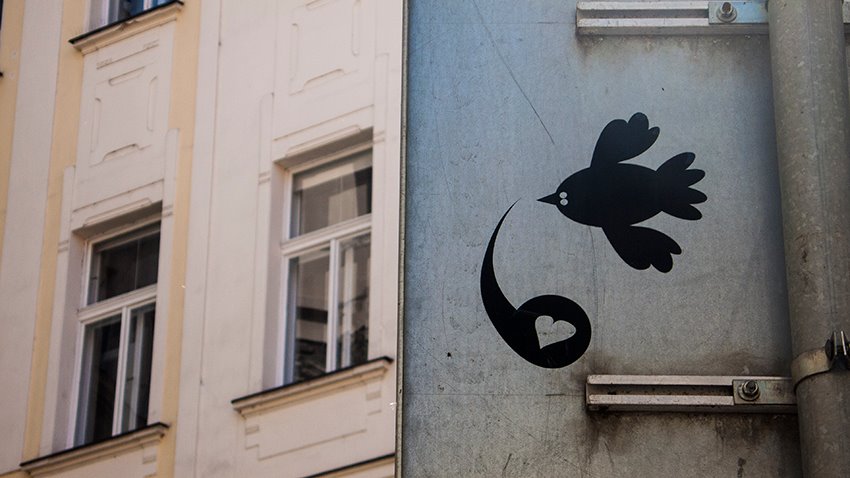 Συνοδευτική επιστολή #20